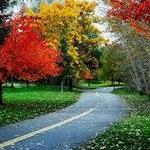 Boise River Greenbelt