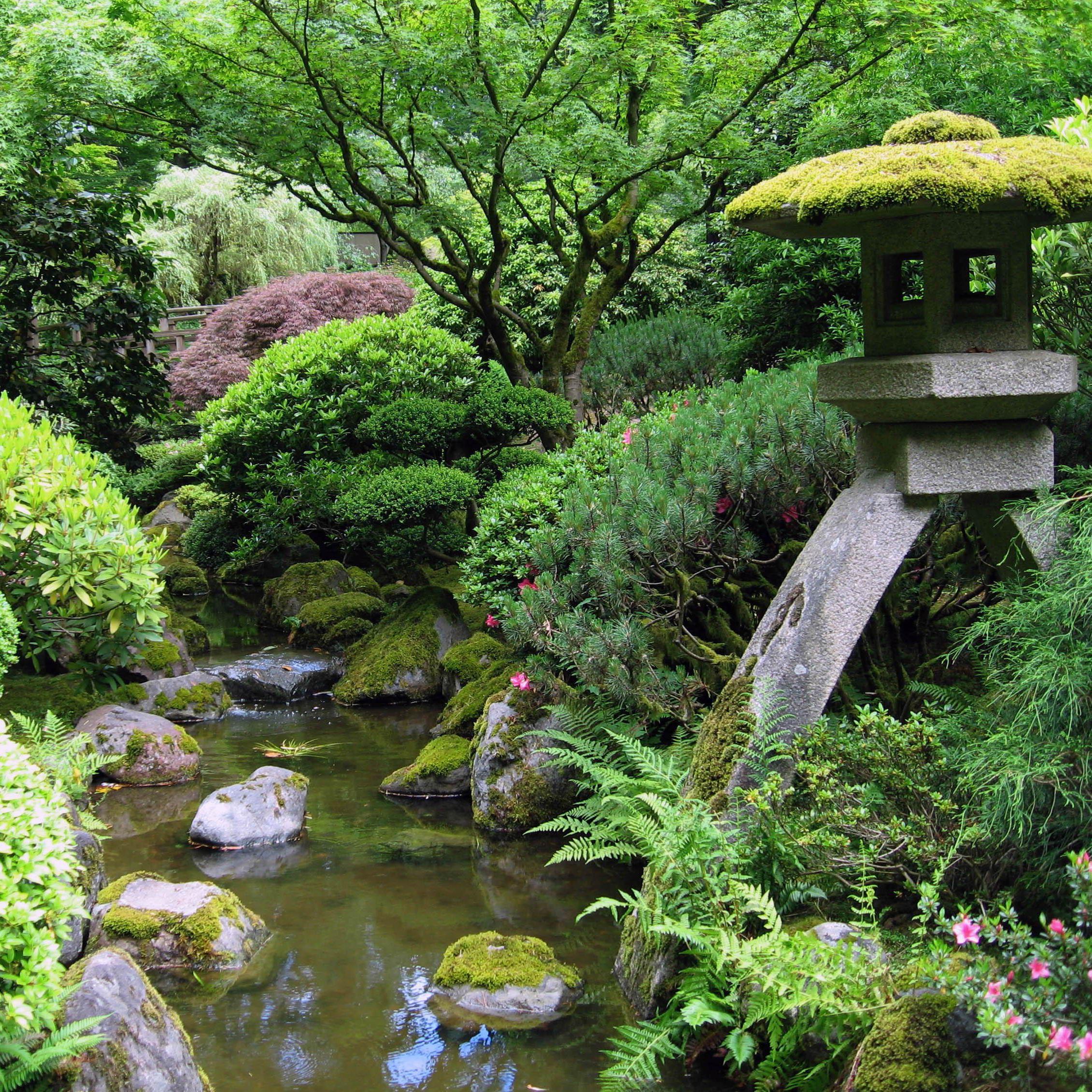Elizabeth proposed in the Portland Japanese Gardens