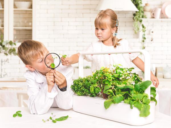 Click and Grow - Indoor Smart Gardens