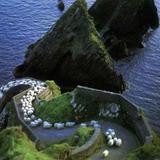 Explore the Dingle Peninsula