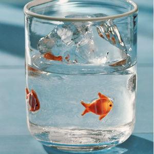 Icon Juice Glass- Clown Fish