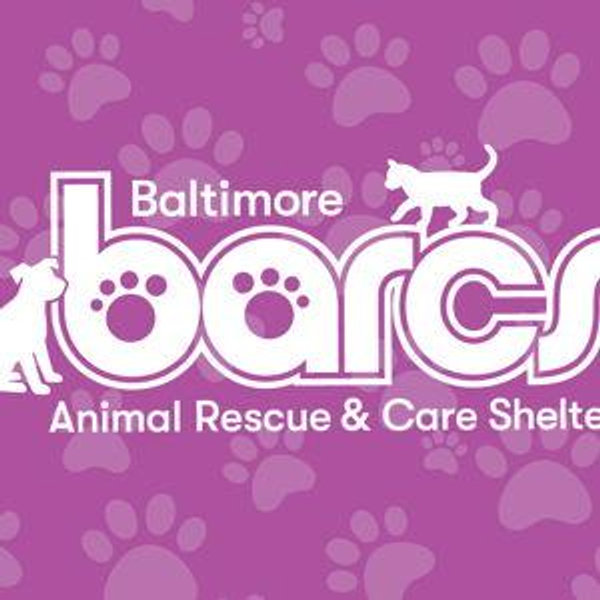 BARCS donation