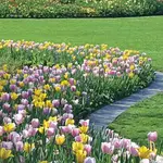The Dallas Arboretum and Botanical Garden