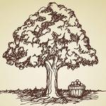 Crane’s Orchards, Restaurant, & Winery