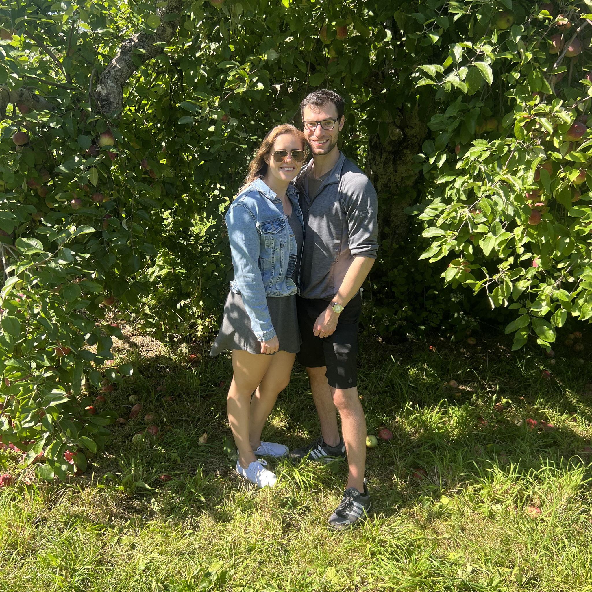 Yearly apple picking