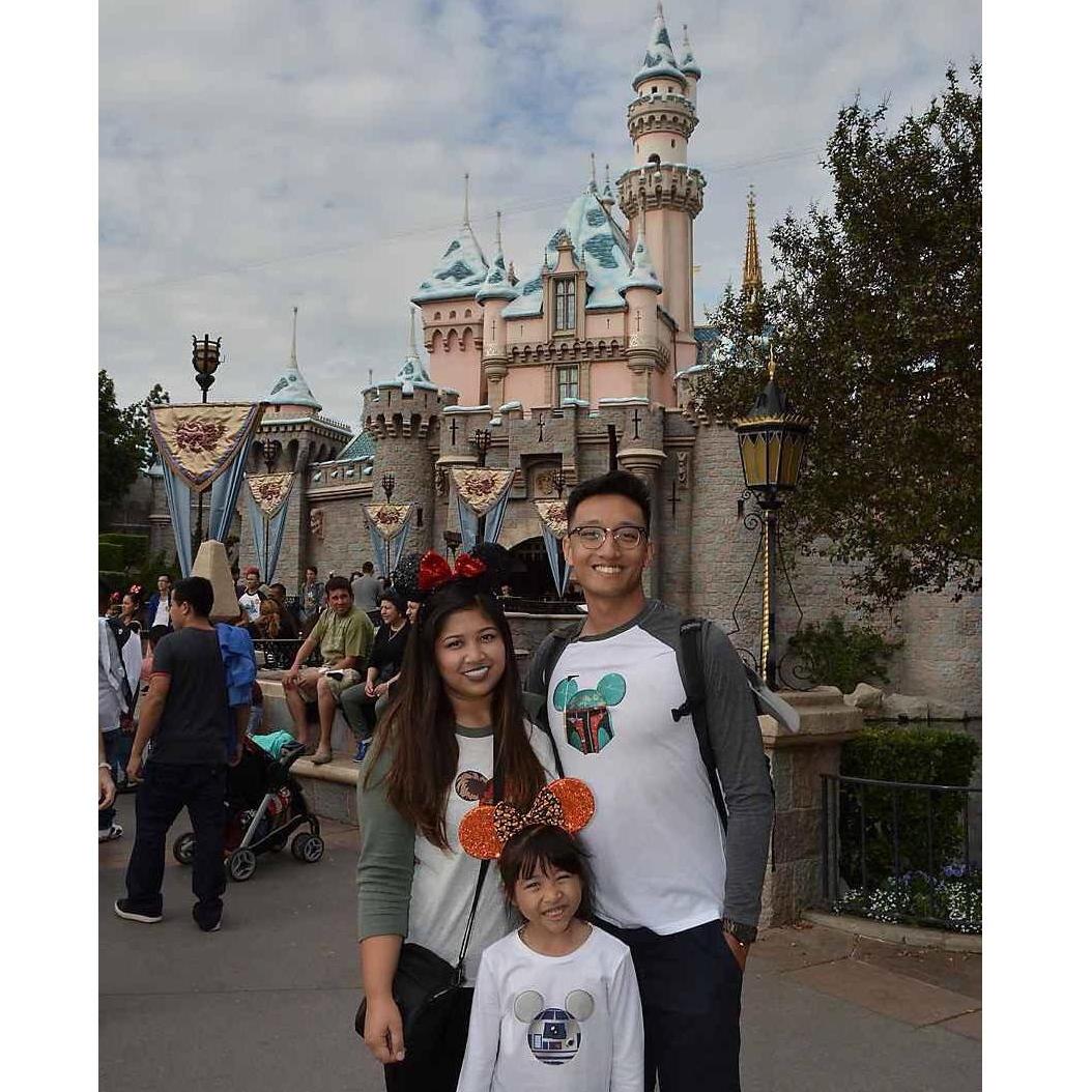 Disneyland 2016