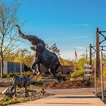 Saint Louis Zoo