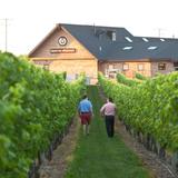 Newport Vineyards