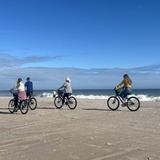 Bike Amelia