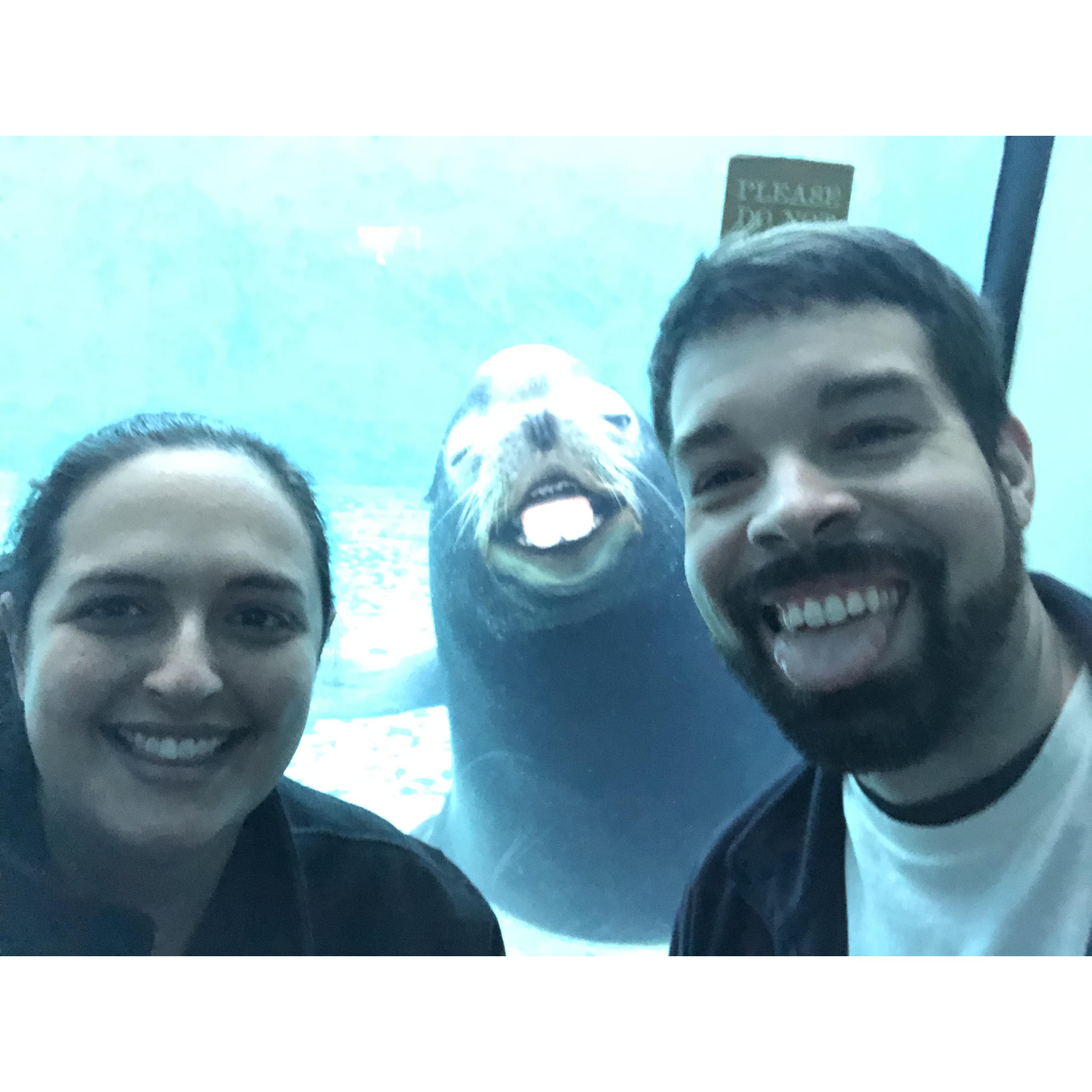 First Christmas in Pittsburgh we went to the Zoo to meet some penguins...but this guy stole the show!