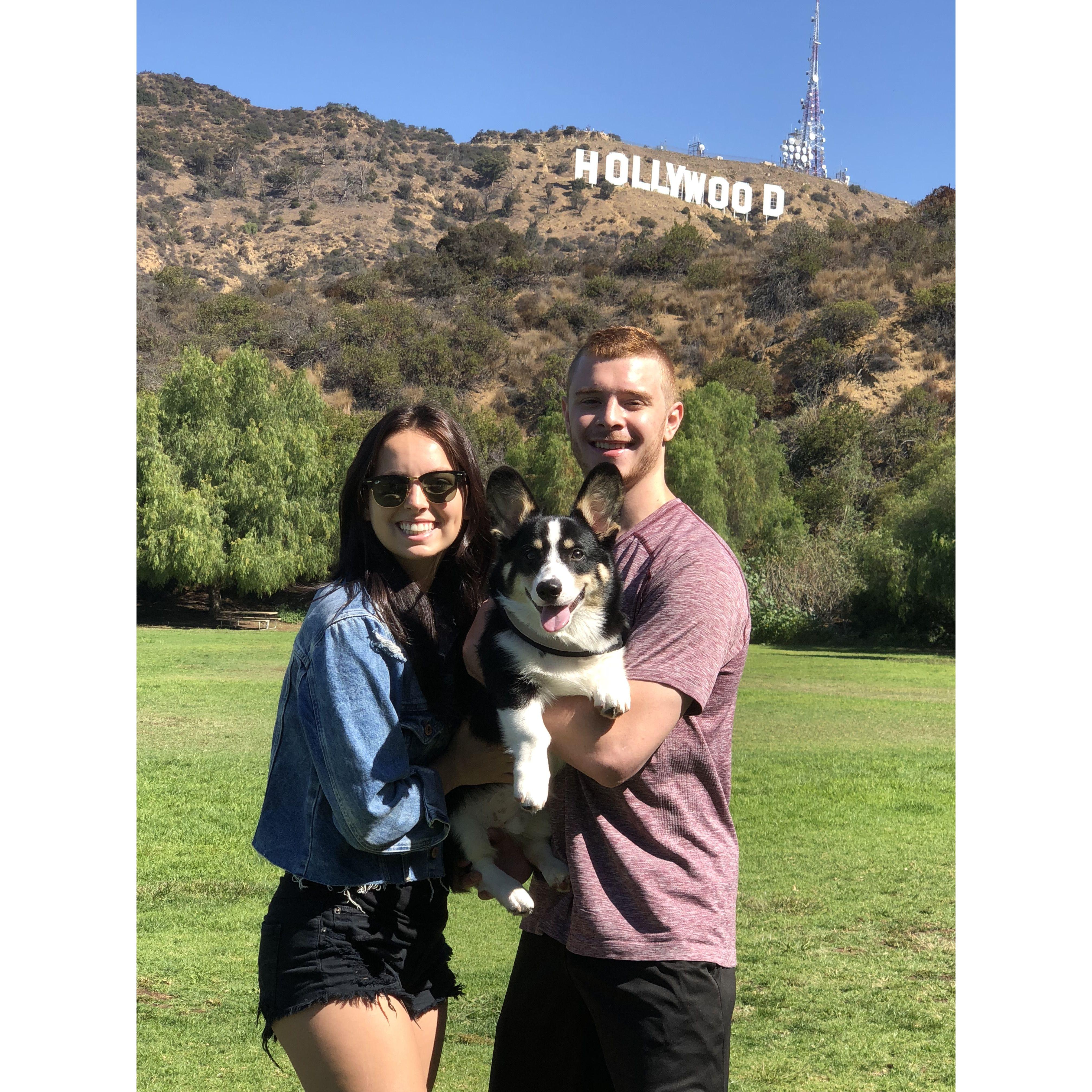 taking Winston to see the Hollywood sign