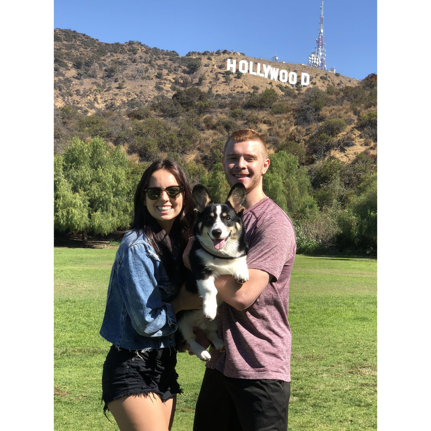 taking Winston to see the Hollywood sign