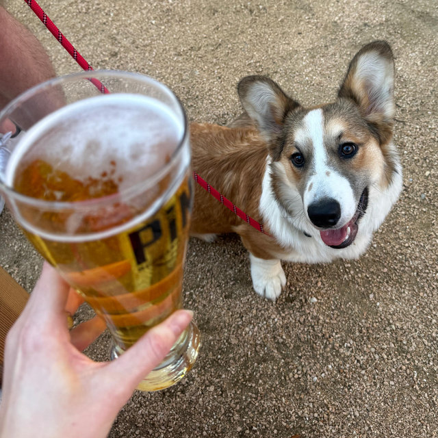 Beer Of The Month Club