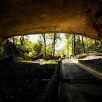 Cathedral Caverns State Park