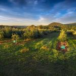Warwick Valley Winery & Distillery