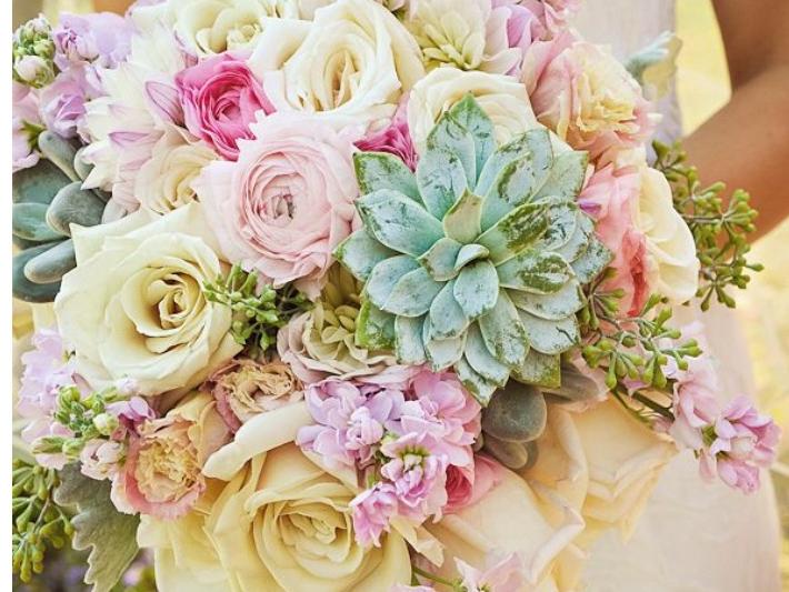 The Wedding Website of Anthony Urnikis and Abigail Benoche