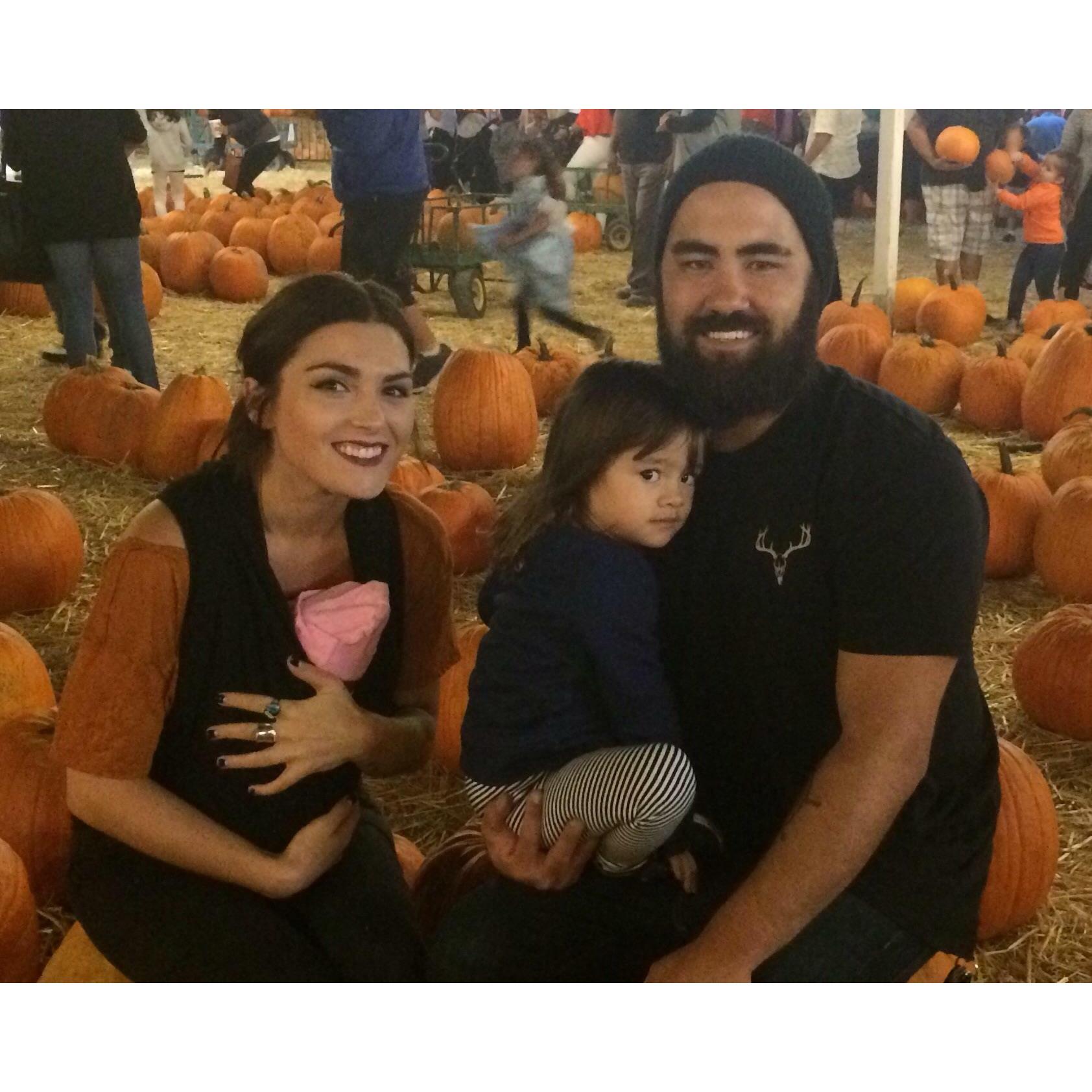 Pumpkin Patch!
