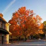 Old Salem Museum and Gardens