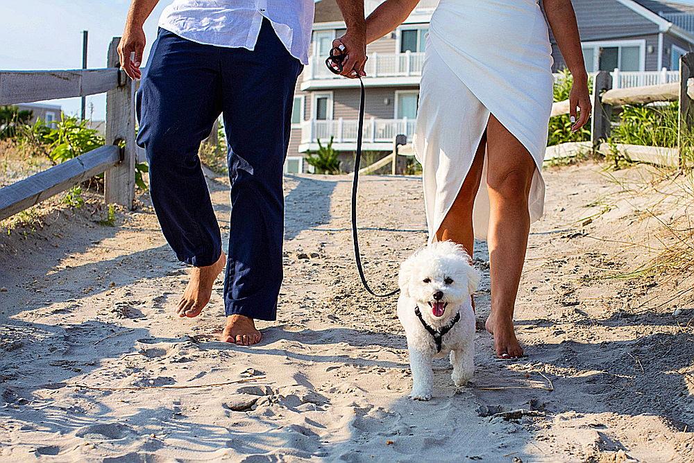 The Wedding Website of Alexandra Alicea and Avi Lipp