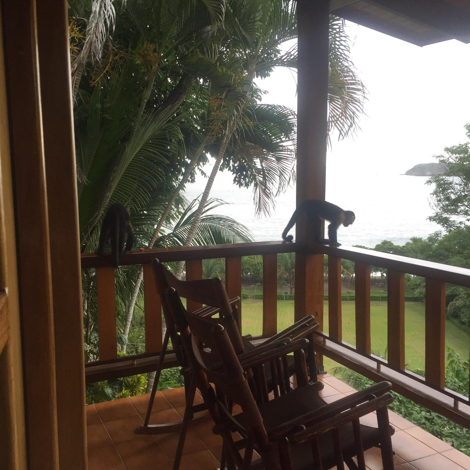 My last trip to Hotel Costa Verde