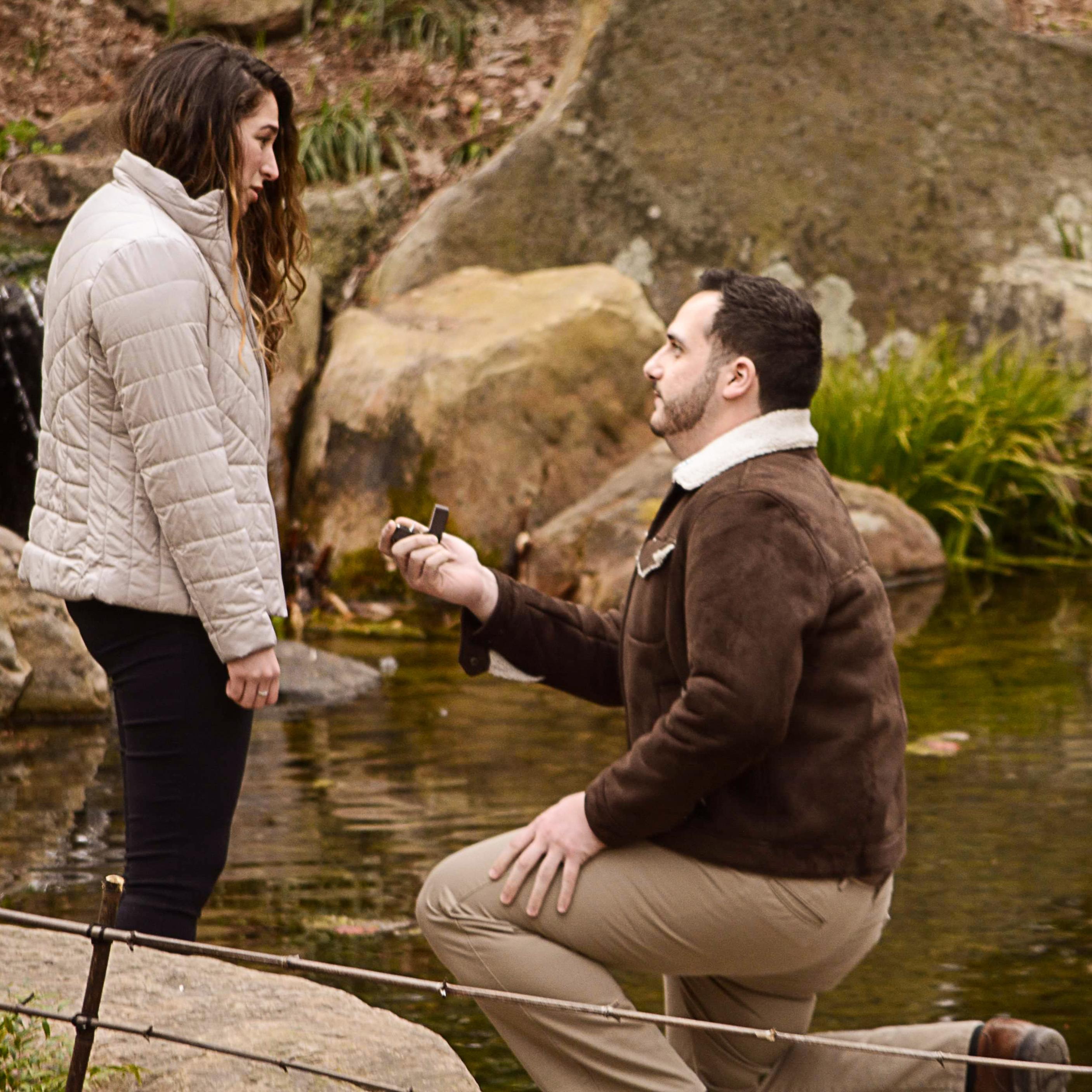 The Proposal 3/20/2019