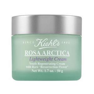 Rosa Arctica Lightweight Cream