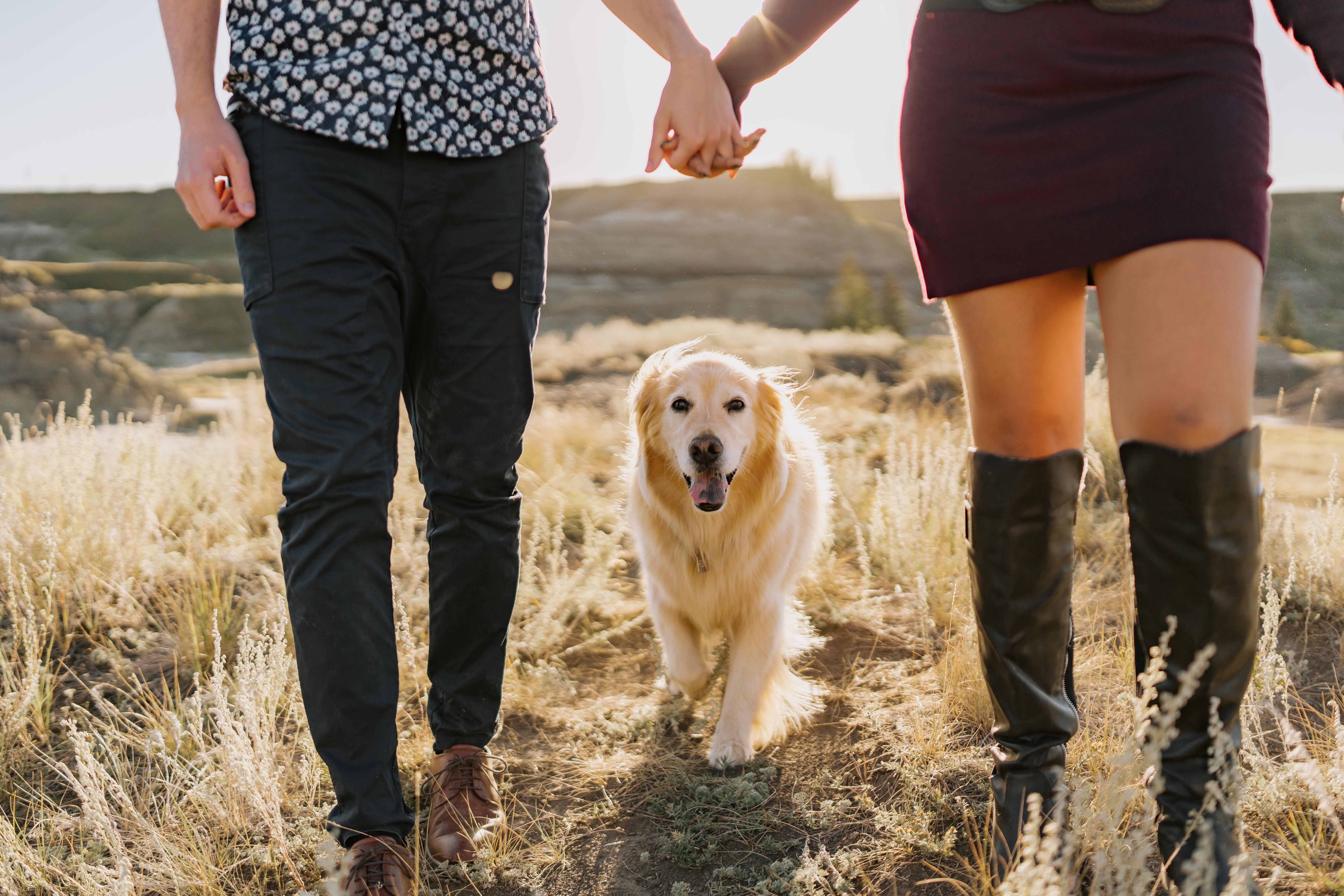 1b417270-124b-46b0-bb2e-c021a827c211