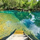Reserva Ecologica Los Ojos Indigenas