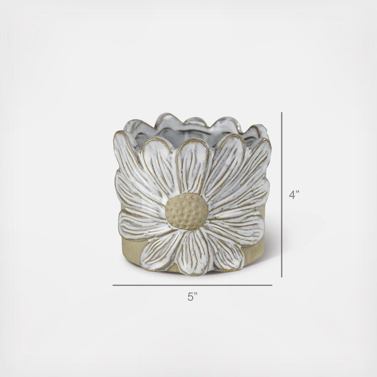 HomArt, Daisy Cachepot, Set of 2 | Zola
