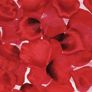 Red Satin Rose Petals