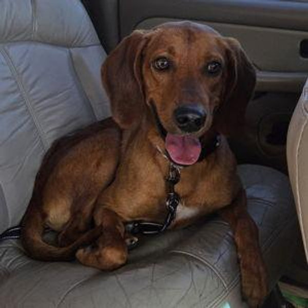 Otis' surgery