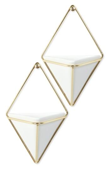 Trigg Set of 2 Wall Vessels