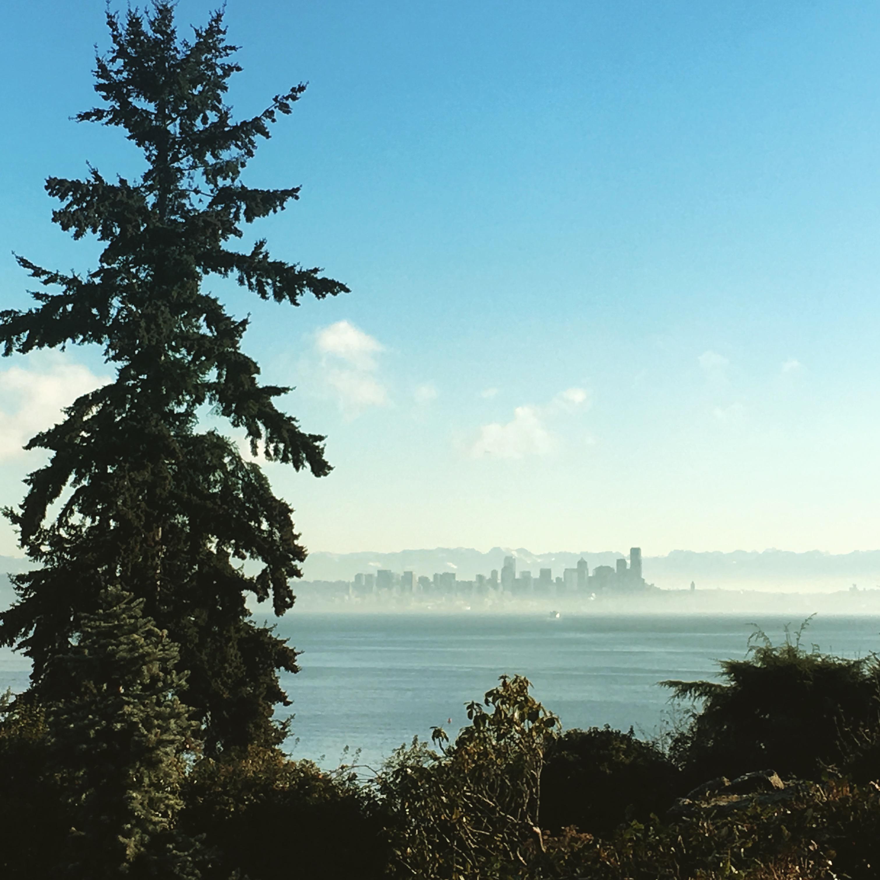 The Wedding Website of Adam O'Sullivan and Evan Wright