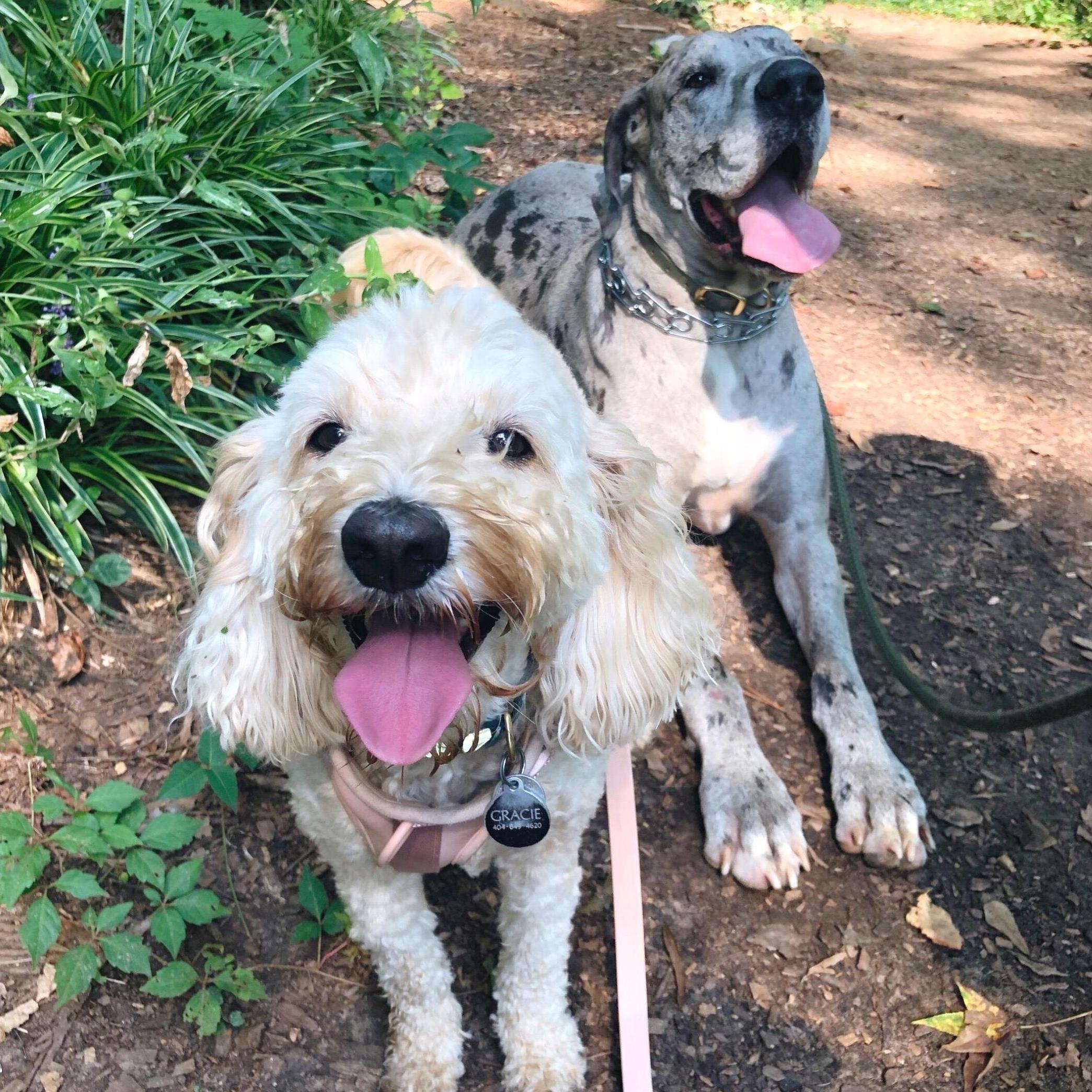Gracie and Finn