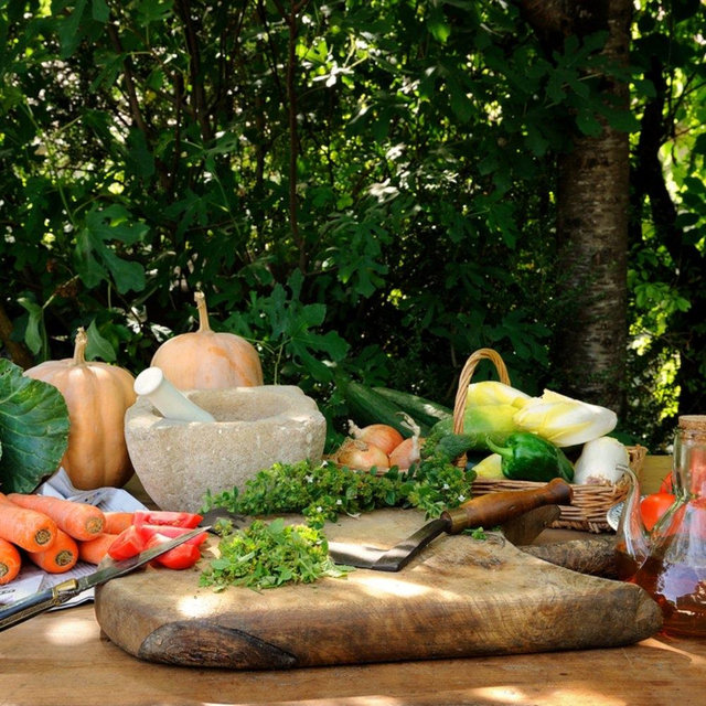 Cooking class in Provence (making bouillabaisse, ratatouille, tapenade)