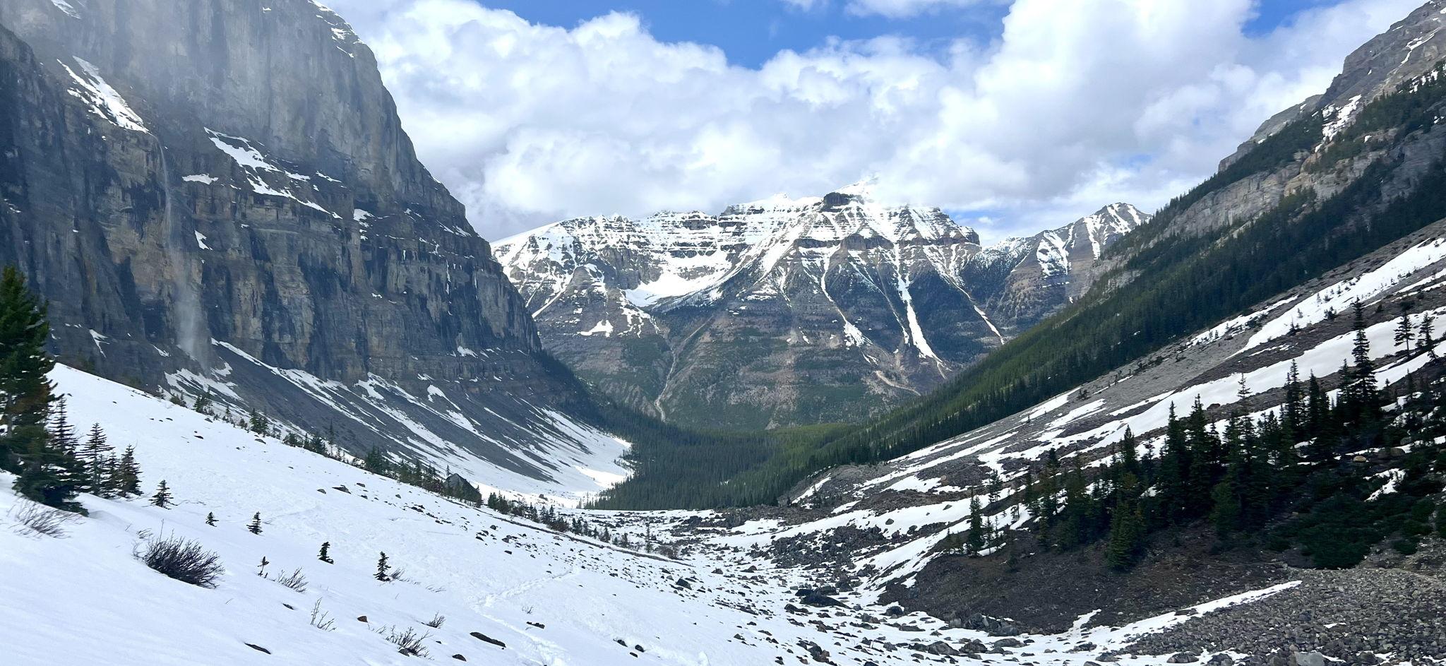 The Wedding Website of Jennifer Walsh and Mark Fardy