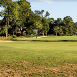 Sea Palms Golf Club