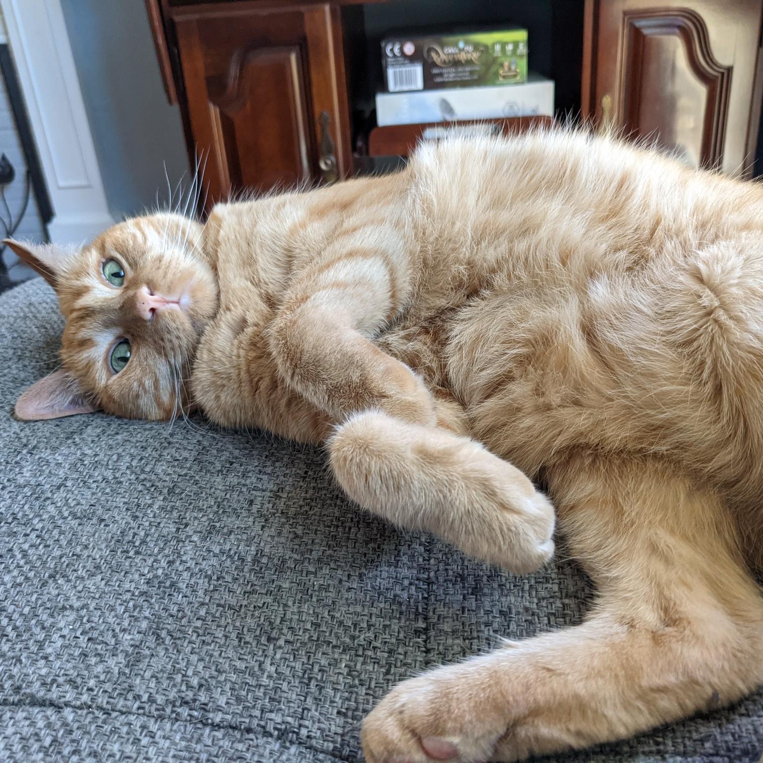 Our little monster Wesley
