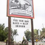 Underwood Family Farms