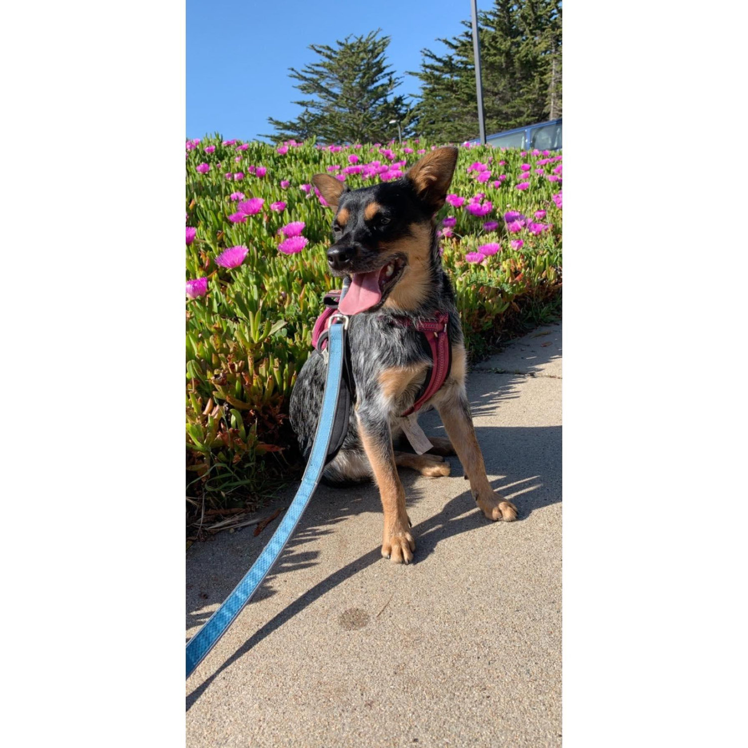 Luna