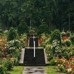 Portland: The city of Roses