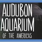 Aquarium of Americas