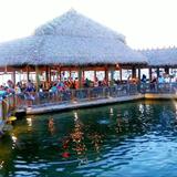 Island Fish Company