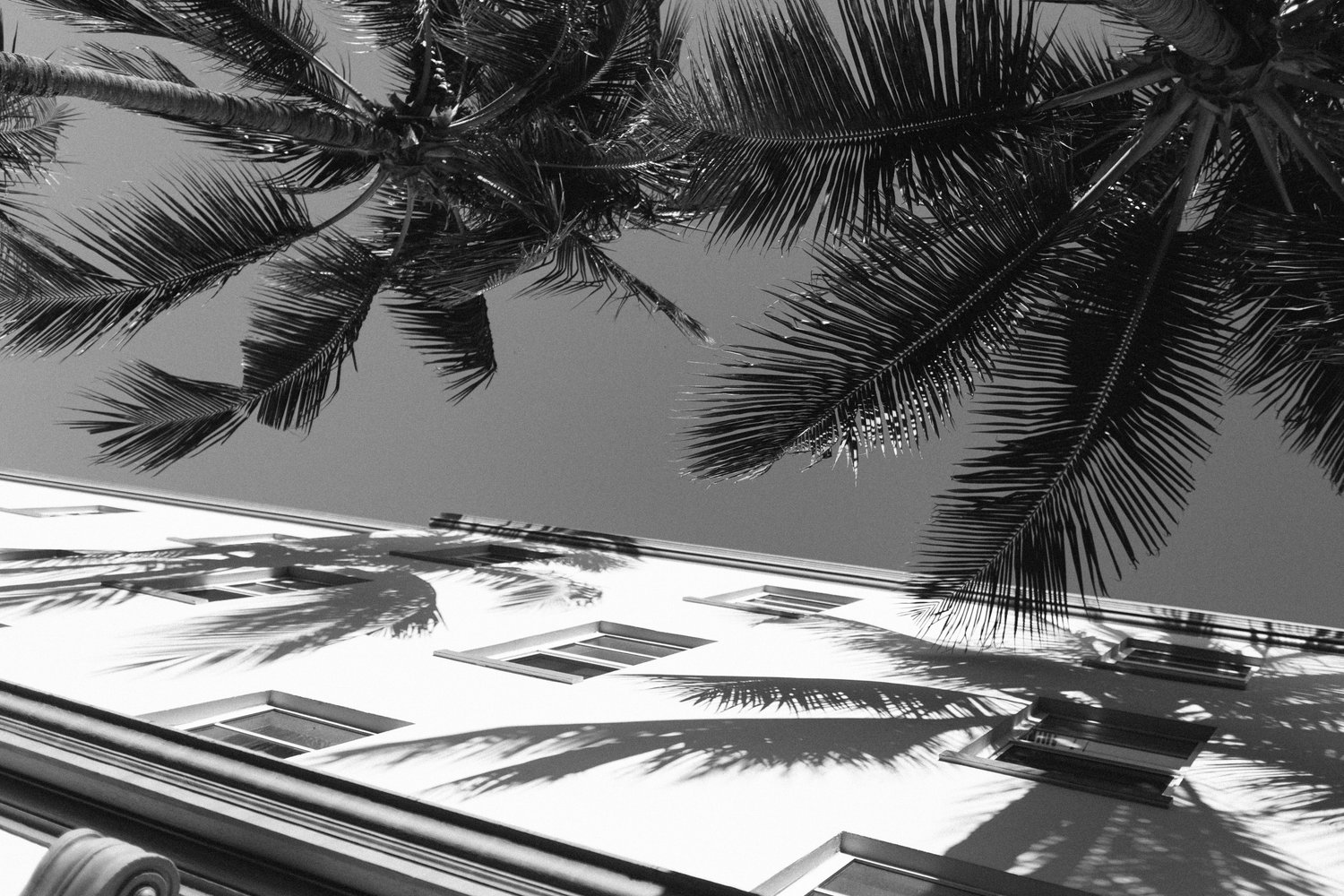 The Wedding Website of Kimberly Hall and Joseph Gallignani
