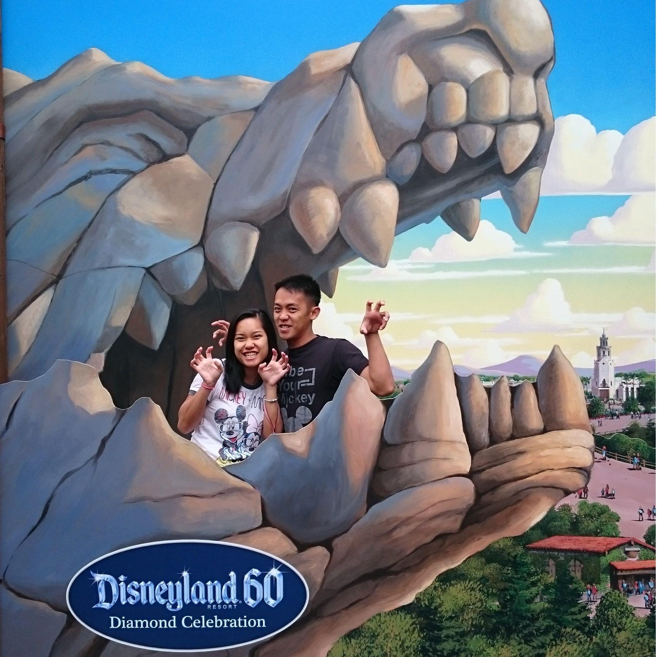 Our first trip to Disneyland...in 2015