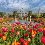 Lewis Ginter Botanical Garden