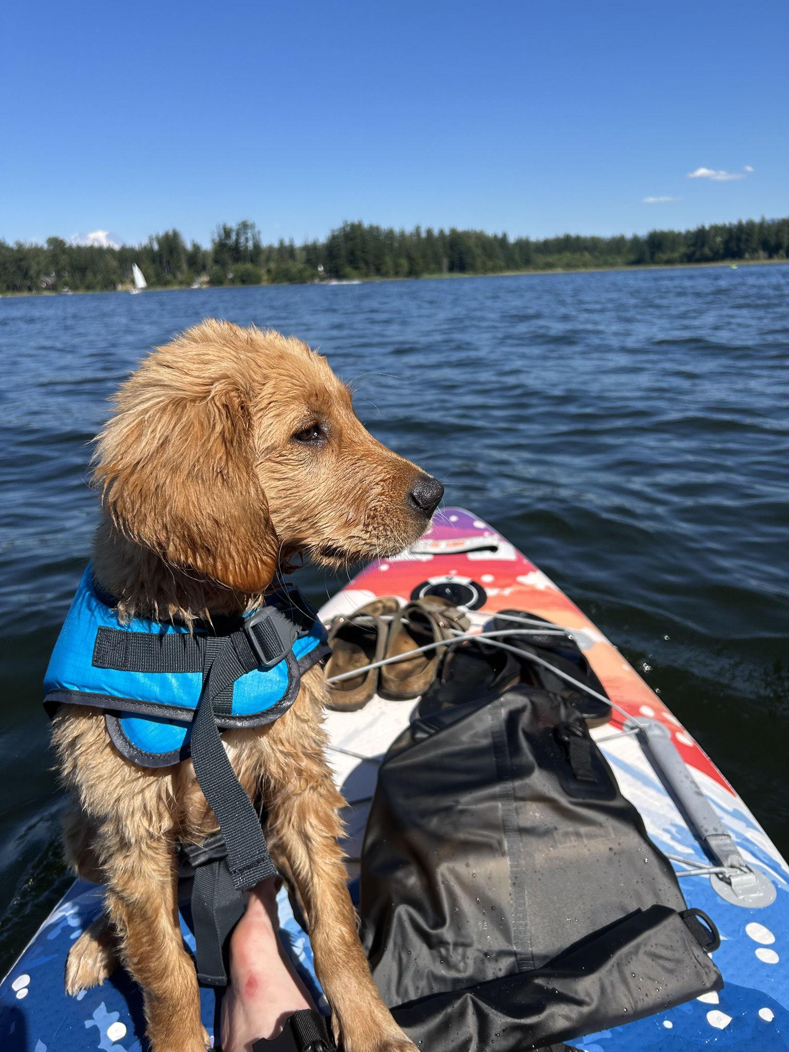 1b50c221-df46-4e80-91a9-53dc7ff5fa6a