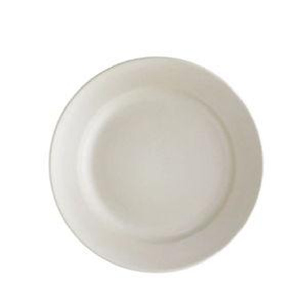 Main Plate- Sand