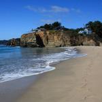 Take a Walk Along Cooks Beach