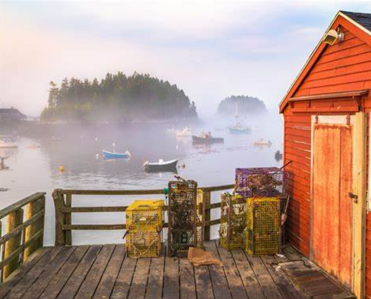 The Wedding Website of Ariel Moniz and Bashar Nabulsi